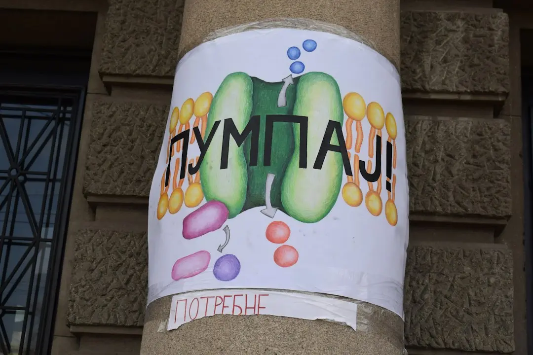 Ce se întâmplă cu protestele tinerilor din Europa?