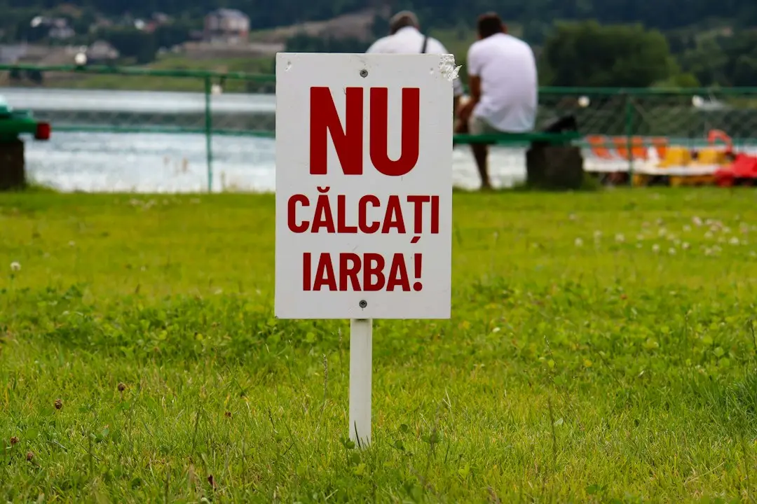 Atac plătit în cursul pentru Senat: cum un clip viral a întors jocul
